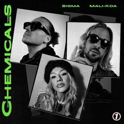 Cover of CHEMICALS