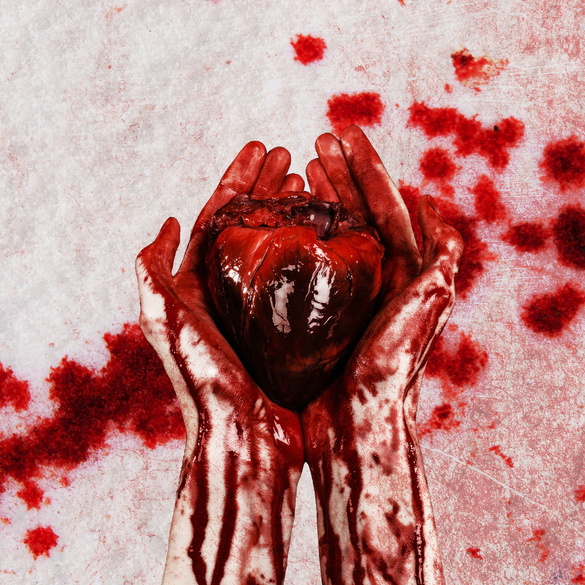 Album cover of Torn From Your Silhouette