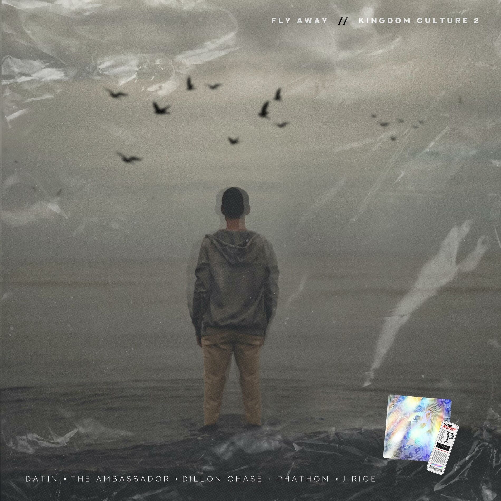Album cover of Fly Away (feat. Datin, The Ambassador, Dillon Chase & J Rice)