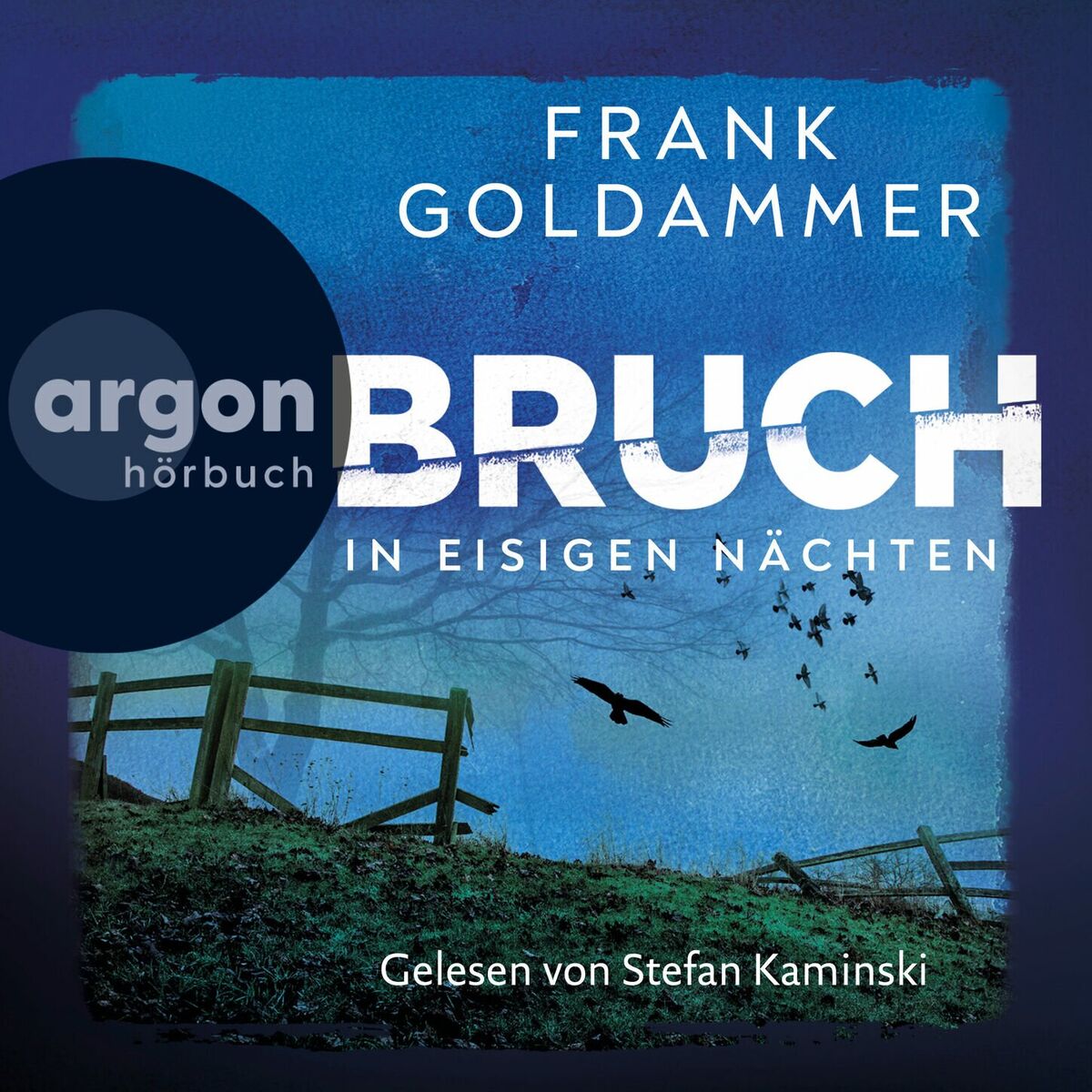 Album picture of Bruch - In eisigen Nächten - Felix Bruch, Band 2 (Ungekürzte Lesung)