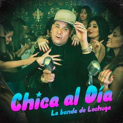 Cover of Chica al Dia