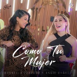 Cover of Como tu Mujer
