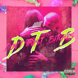 Cover of DTB