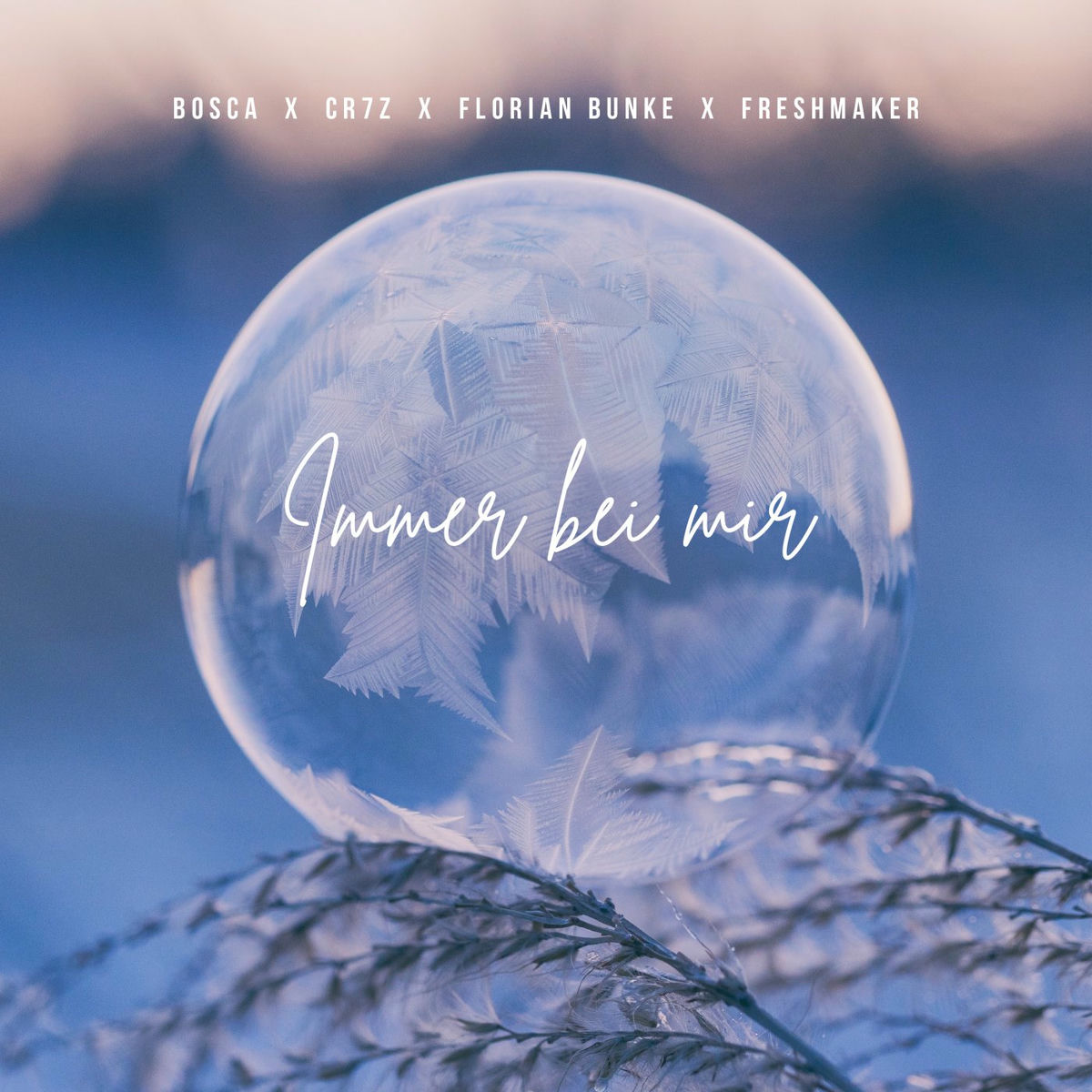 Album cover of Immer bei mir