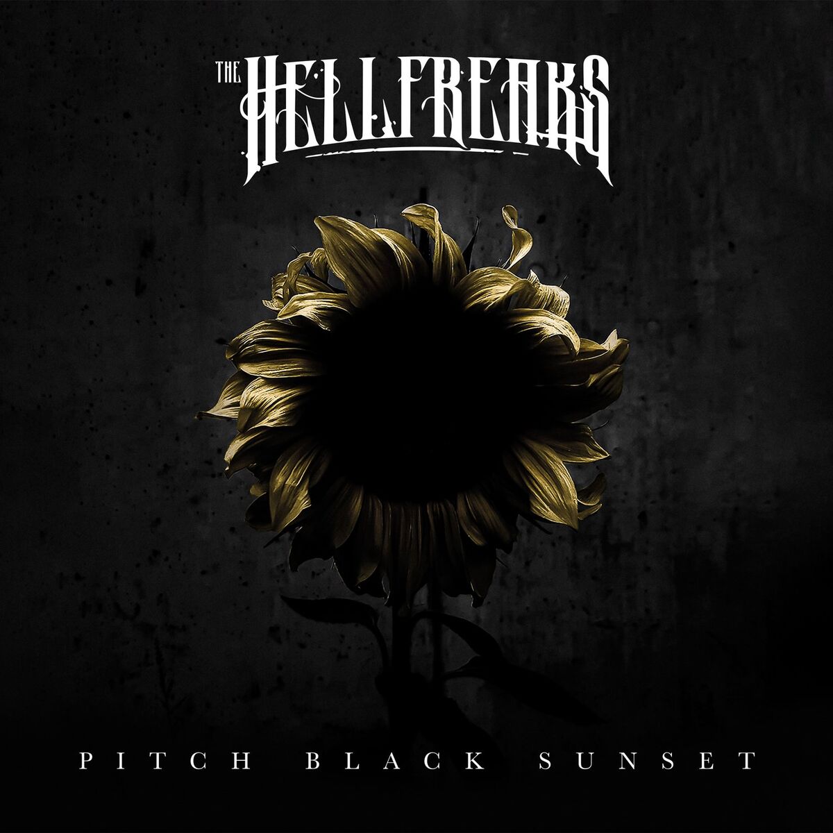 Album cover of Pitch Black Sunset