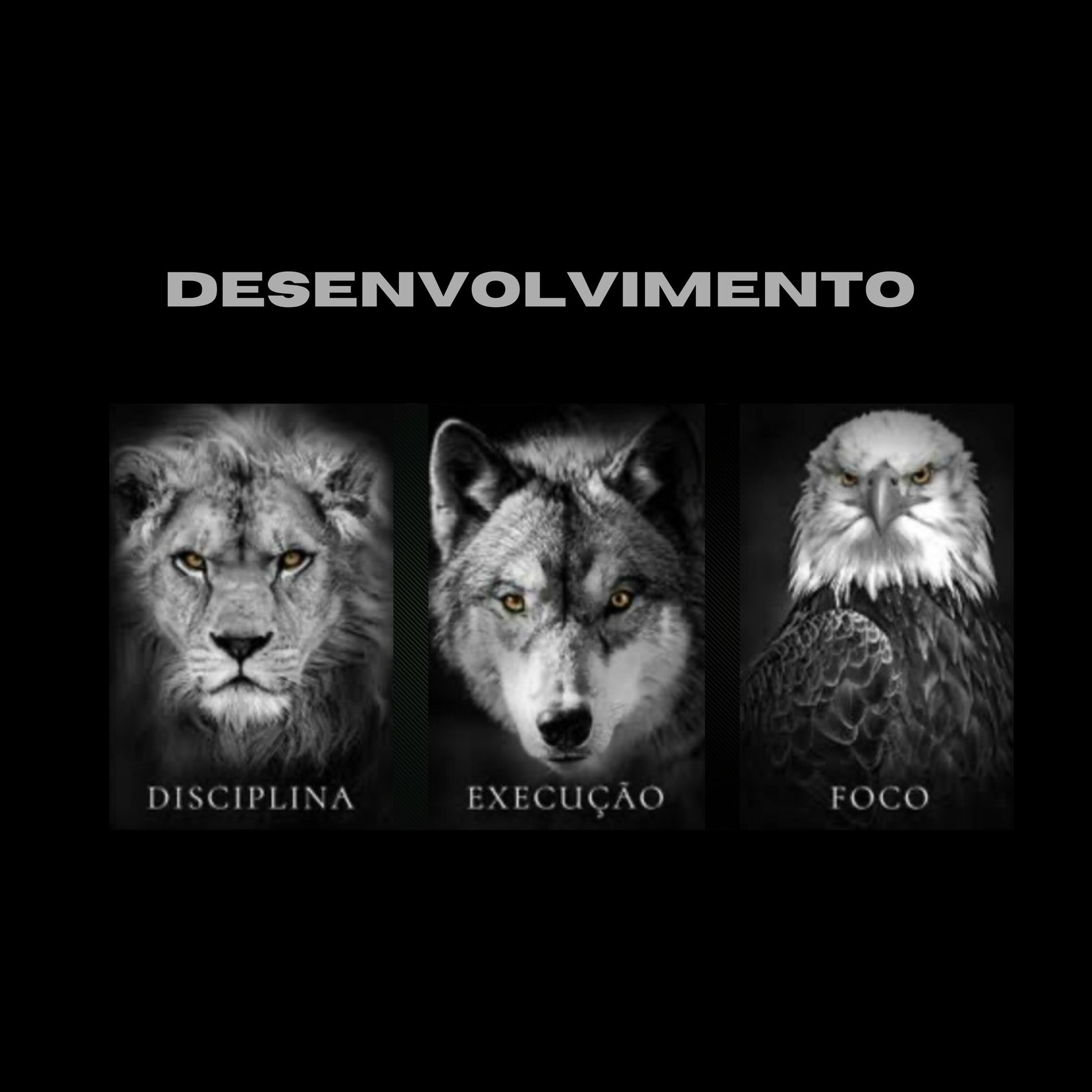 Album cover of Desenvolvimento