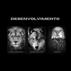 Cover of Desenvolvimento