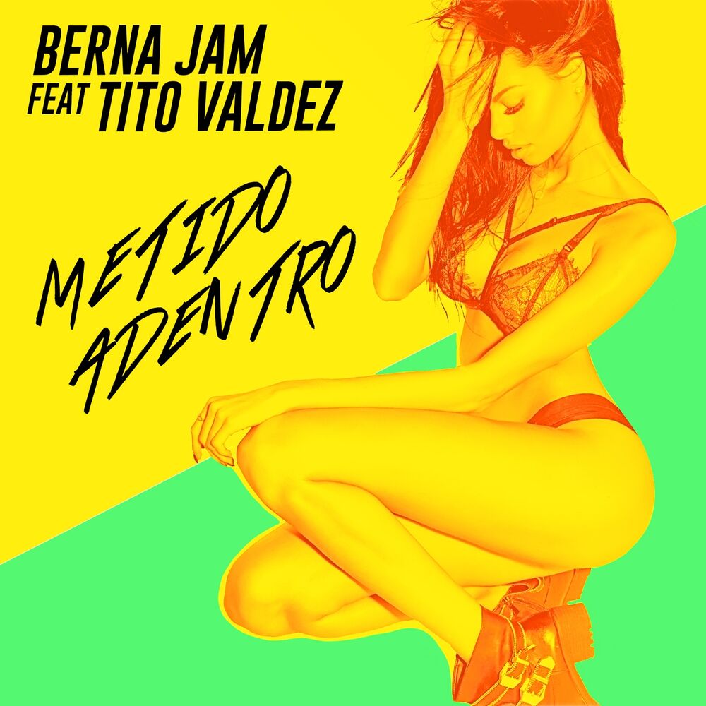 Picture of Metido Adentro