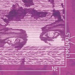 Cover of Terminals