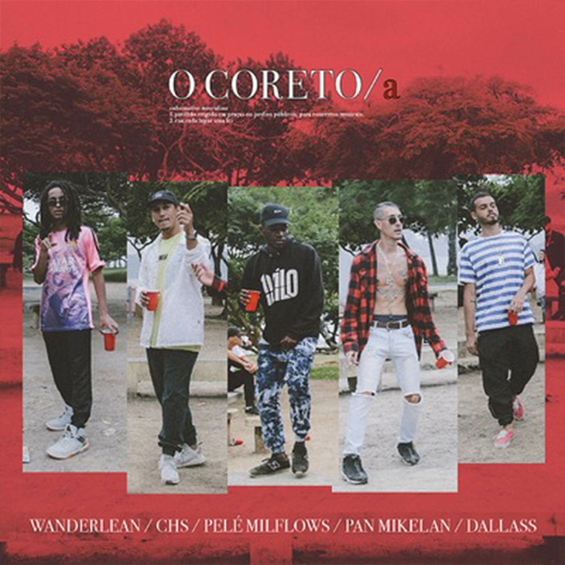 Album cover of O Coreto/a