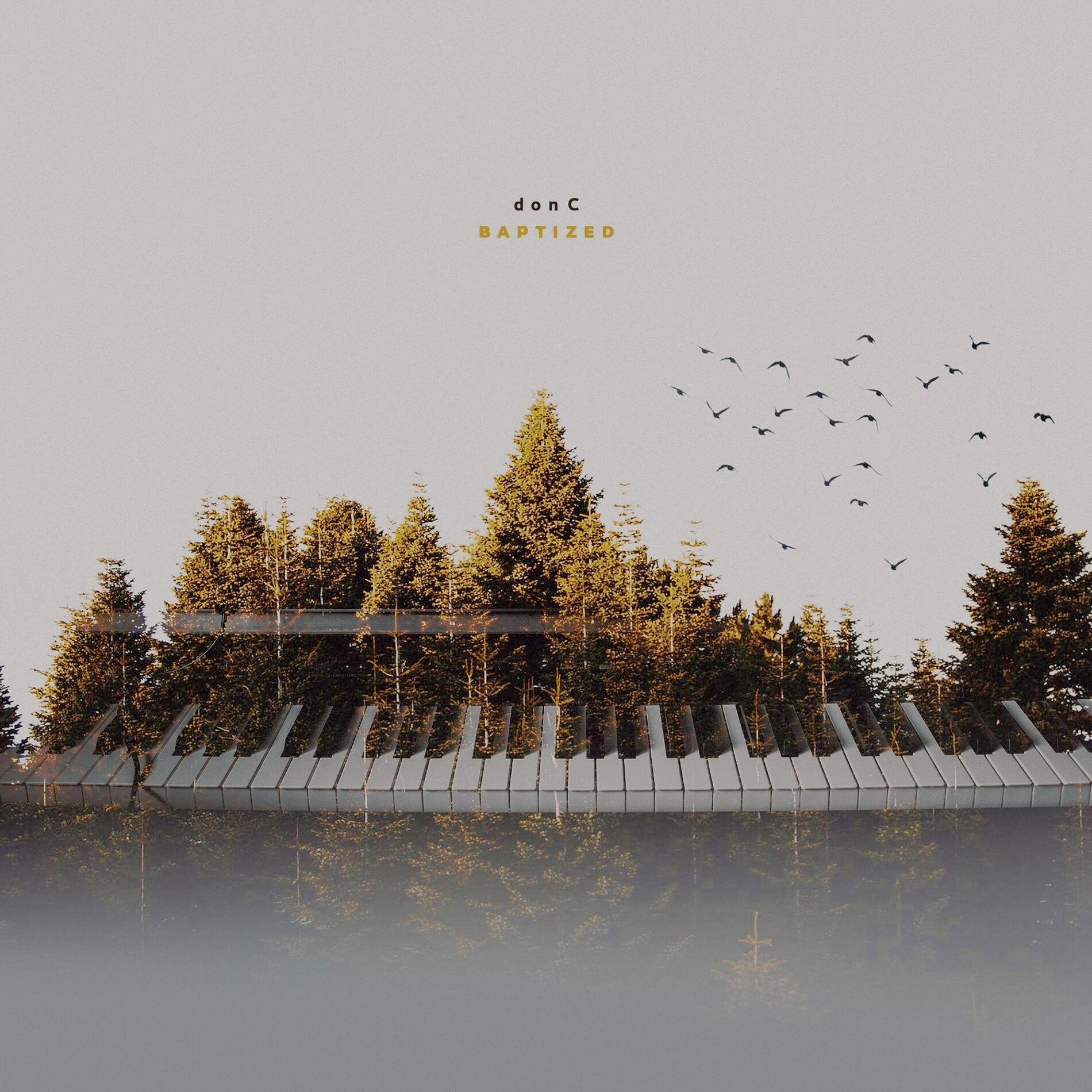 Album cover of Baptized