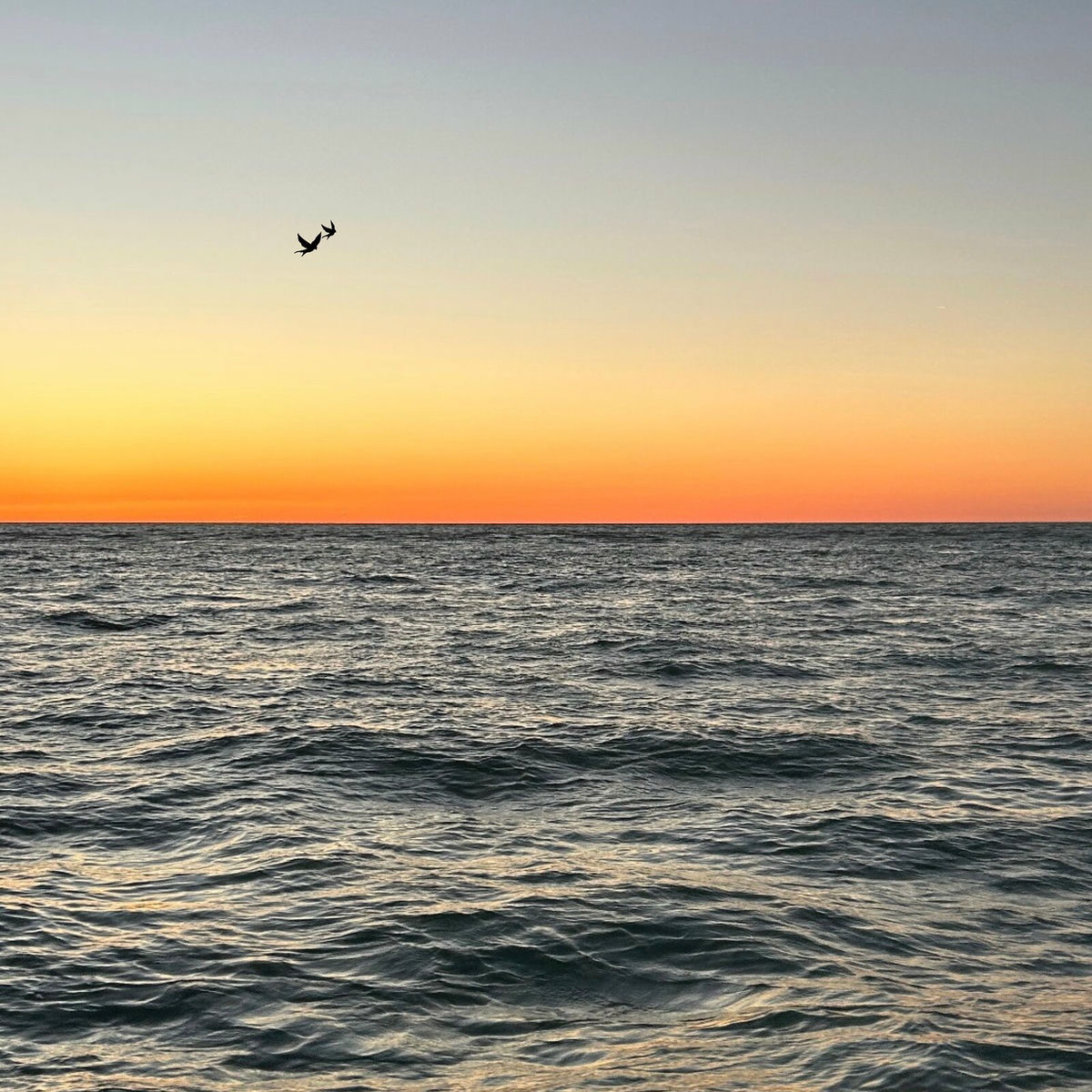 Album cover of Face of the Earth