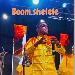 Cover of Boom Shelele