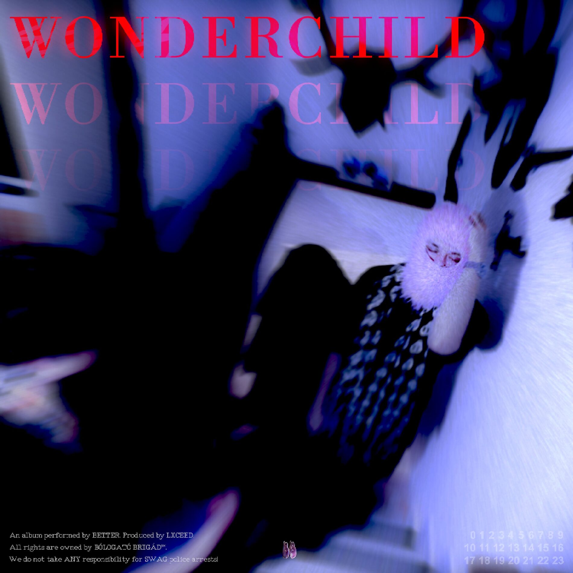 Album cover of Wonderchild
