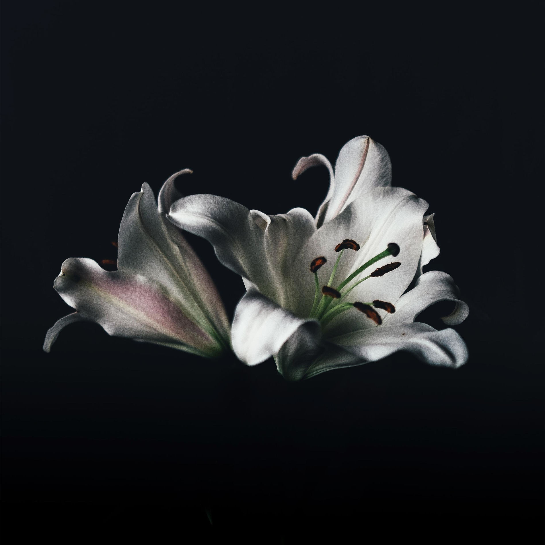 Album cover of charms