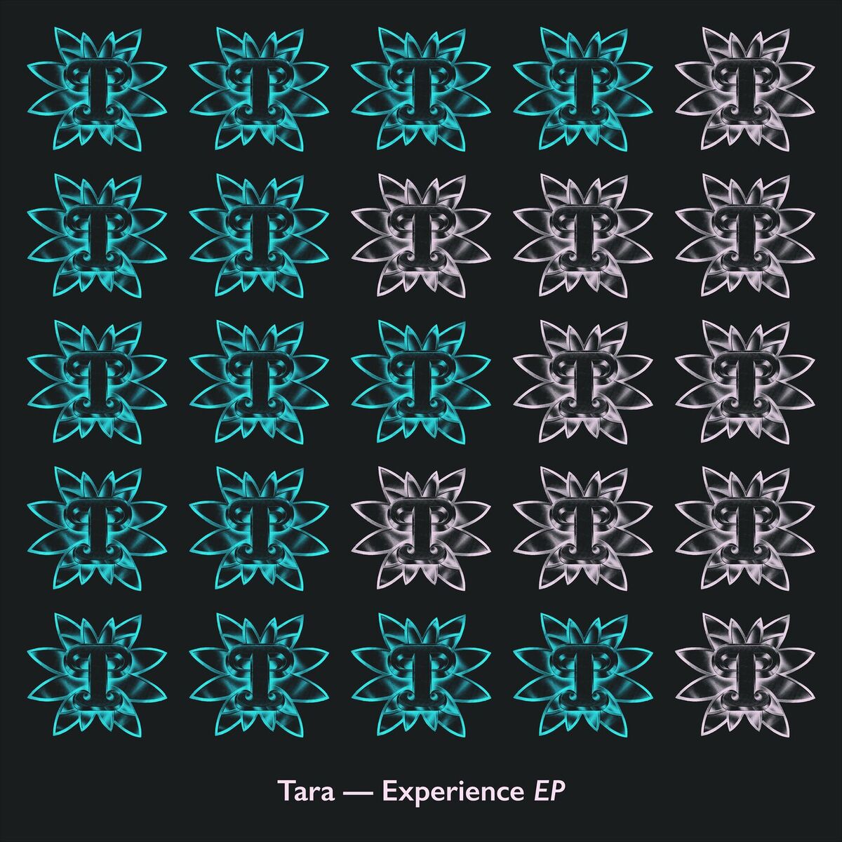 Album cover of Experience EP