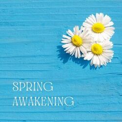 Cover of Spring Awakening