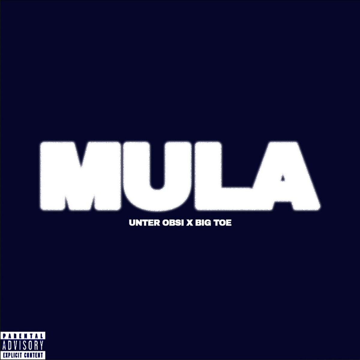 Album cover of MULA