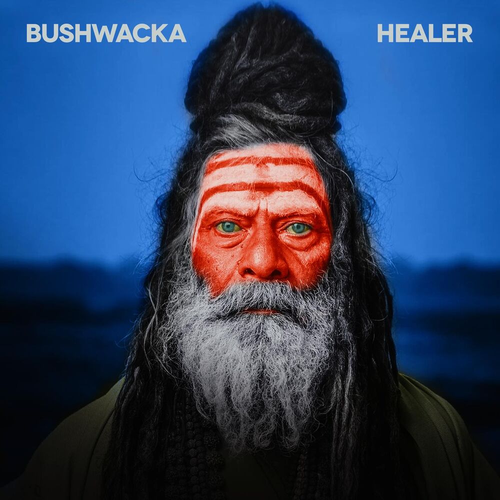 Picture of Healer