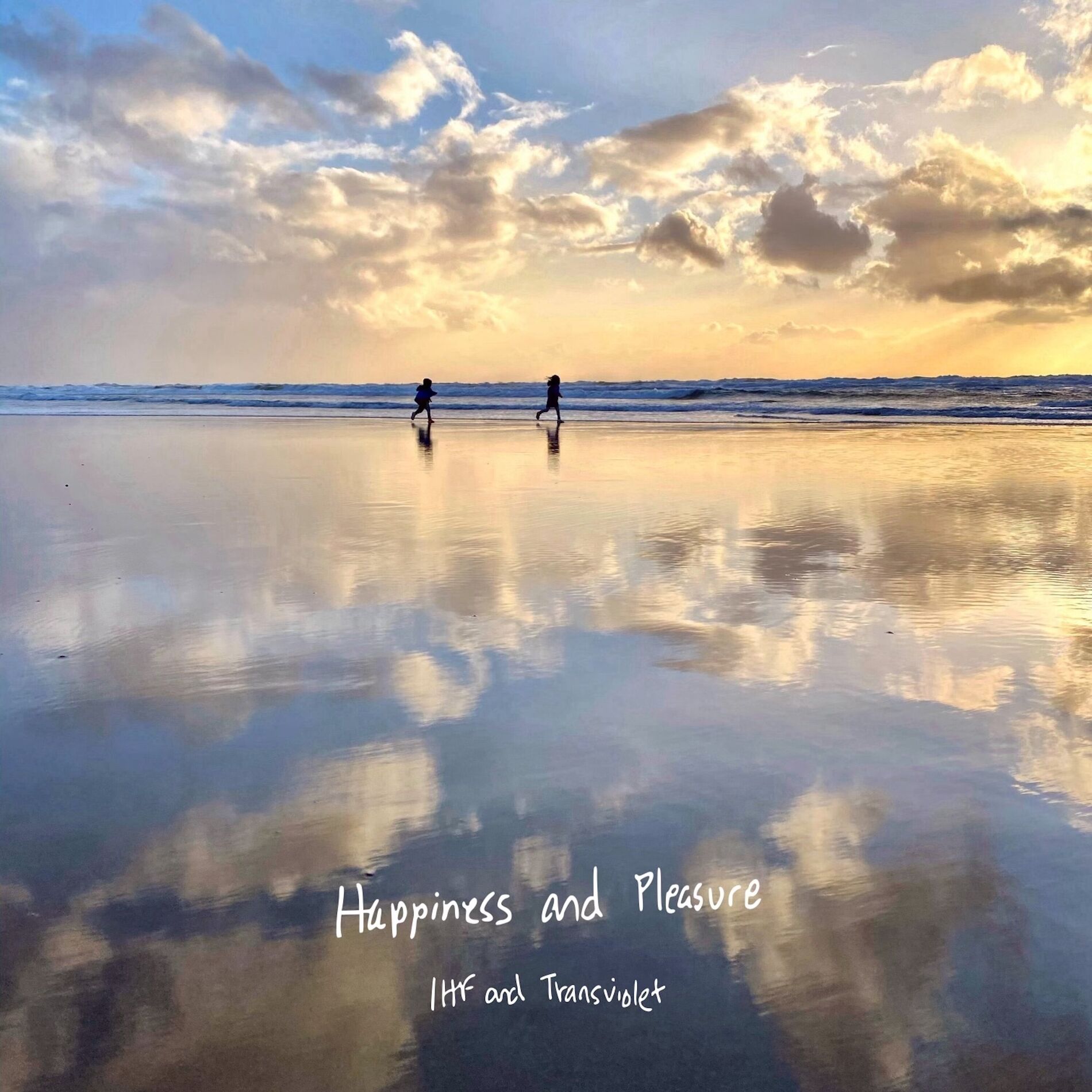 Album cover of Happiness and Pleasure