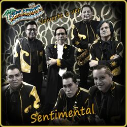 Cover of Sentimental