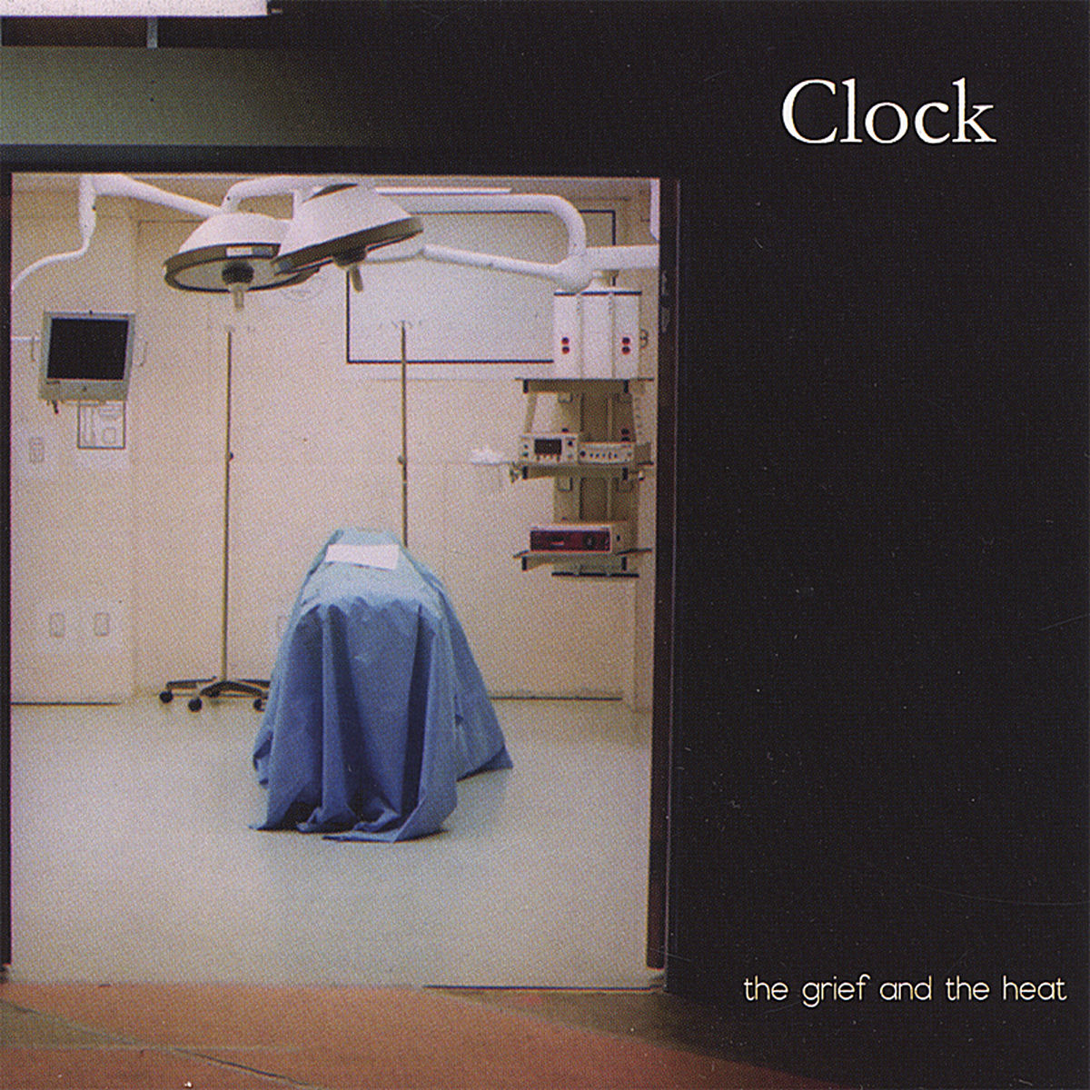 Album cover of The Grief and the Heat