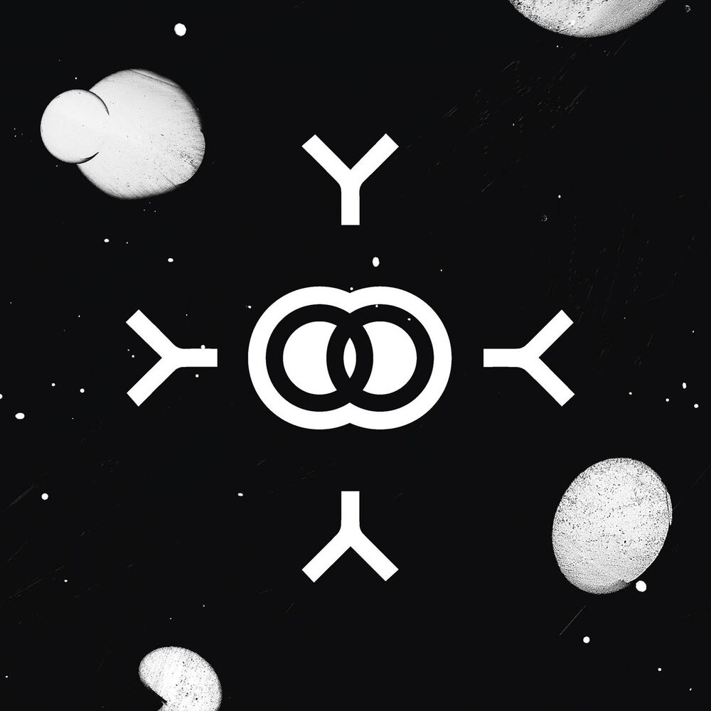 Picture of Kings (Radio Edit)