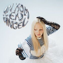 Cover of In kom en ängel