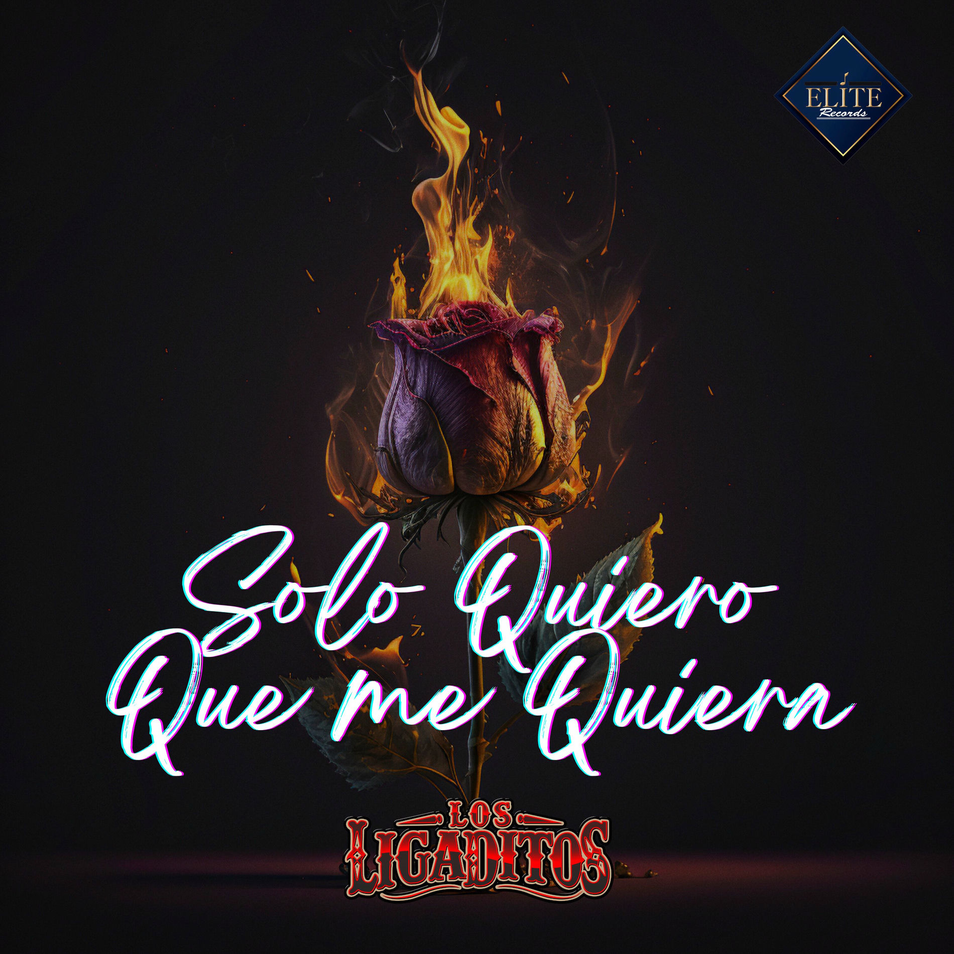 Album cover of Solo Quiero Que Me Quiera