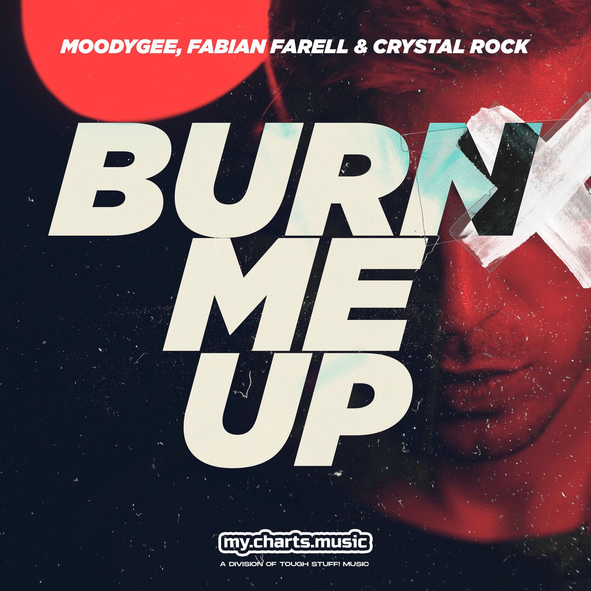 Album cover of Burn Me Up