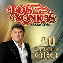 Cover of 20 Éxitos de Oro