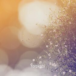 Cover of Wonderland