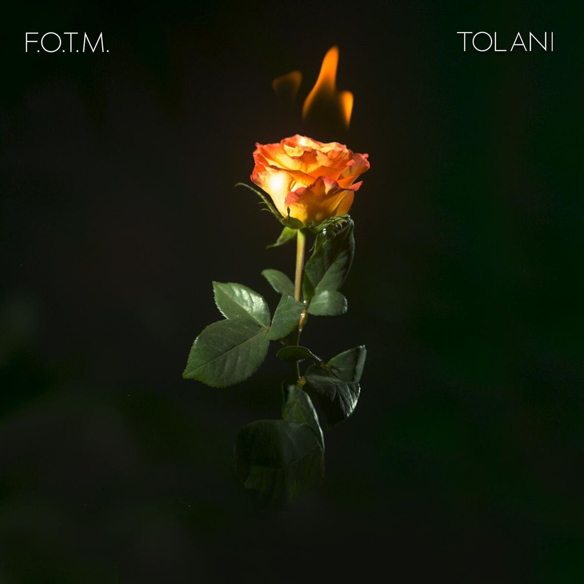 Album cover of Fire On The Mountain