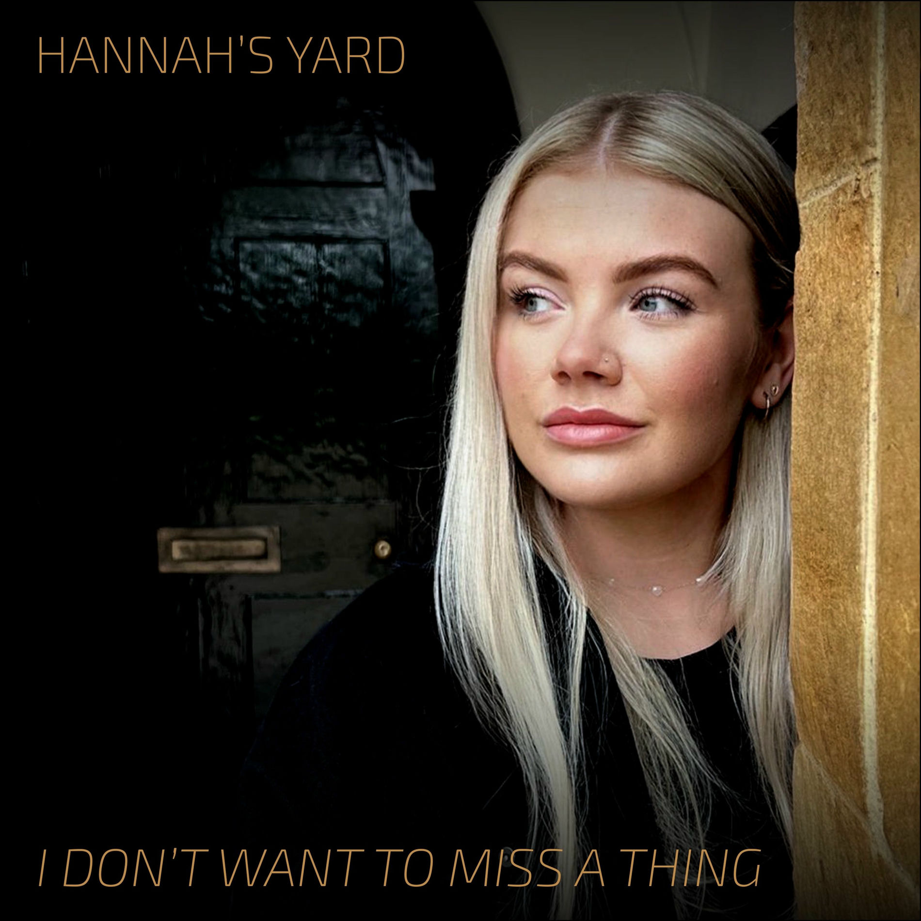 Album cover of I Don't Want to Miss a Thing