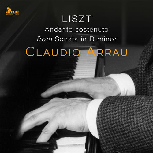 Piano Sonata in B Minor, S. 178: Andante sostenuto (Live)