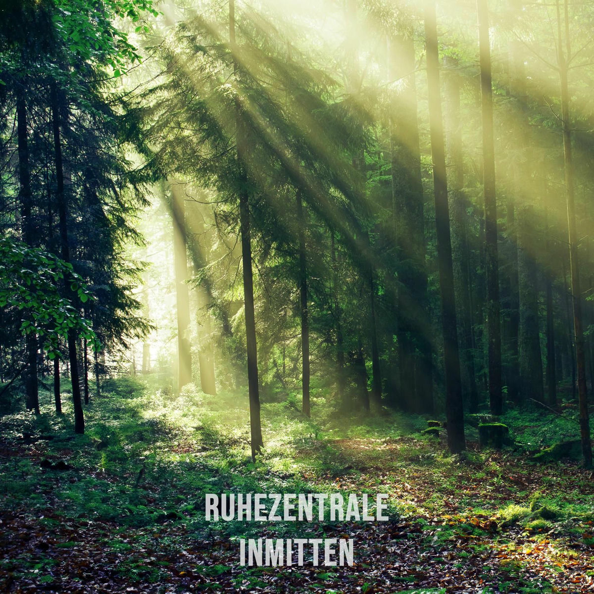 Album cover of Inmitten