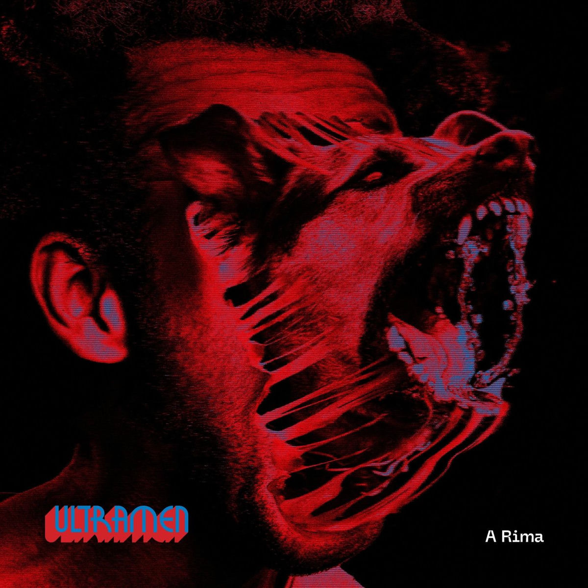 Album cover of A Rima