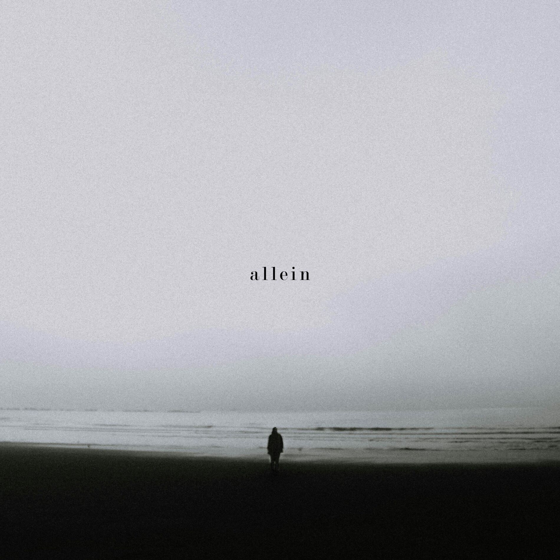 Album cover of allein
