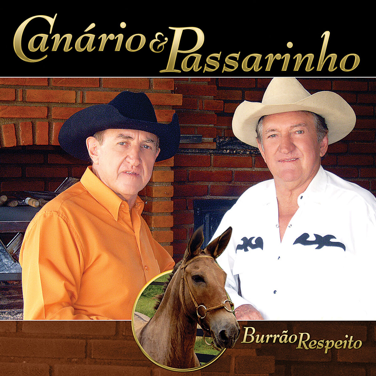 Album cover of Burrão Respeito