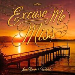 Cover of Excuse Me Miss