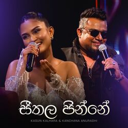 Cover of Seethala Pinne