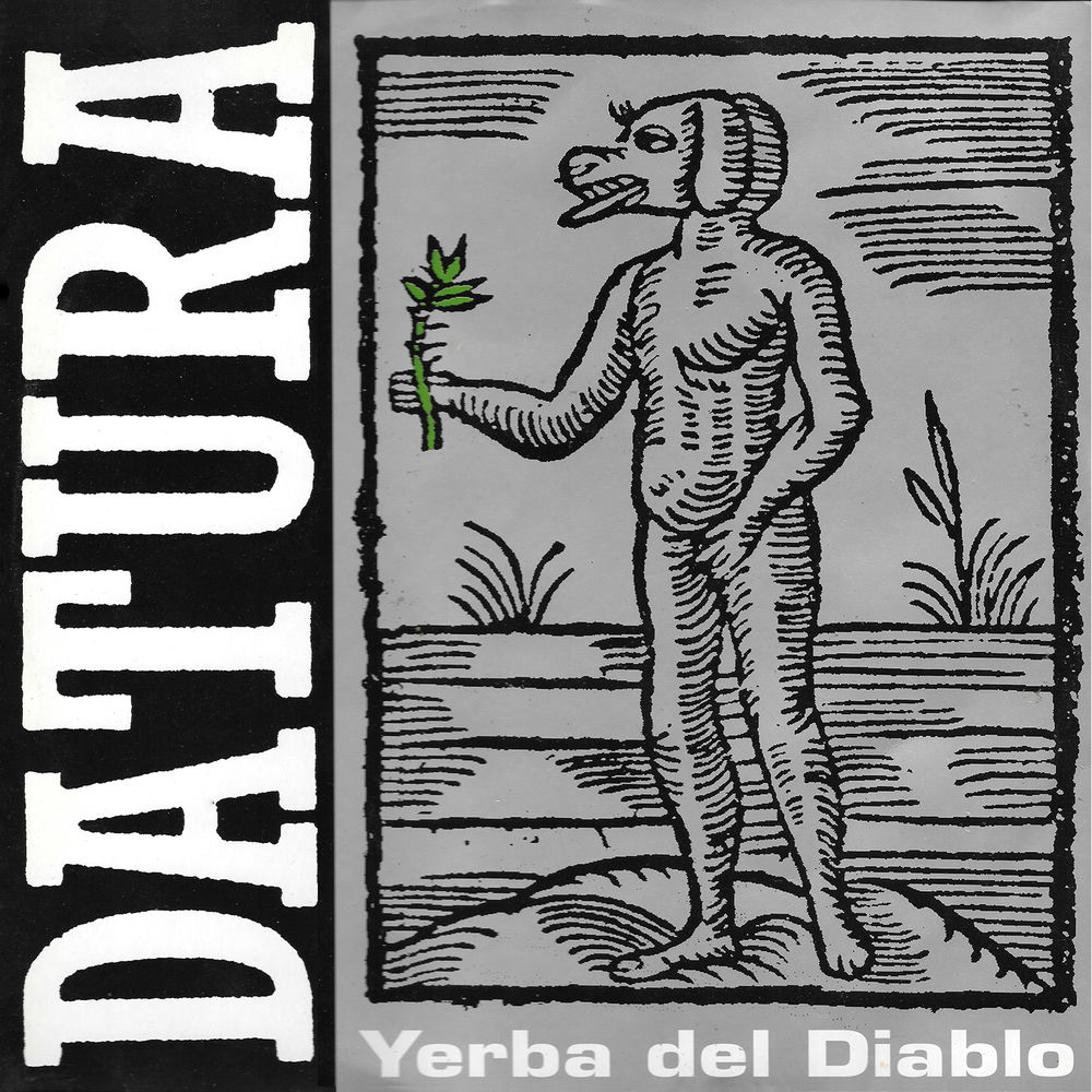 Yerba Del Diablo (Yaqui)