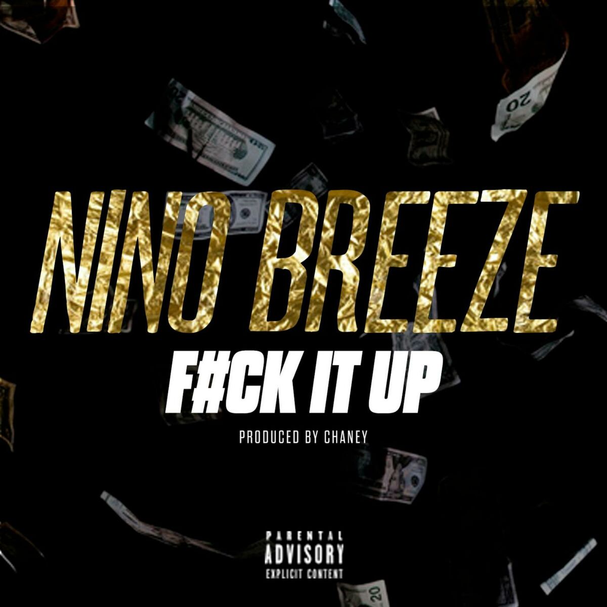 Album cover of Fuck It Up (F.I.U.)