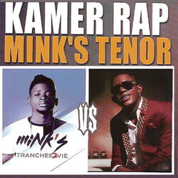 Cover of Kamer Rap