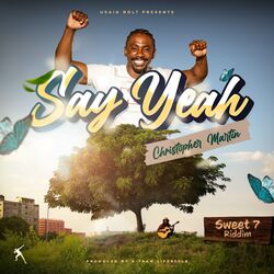 Cover of Say Yeah