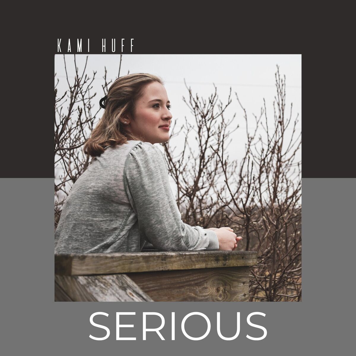 Album cover of Serious