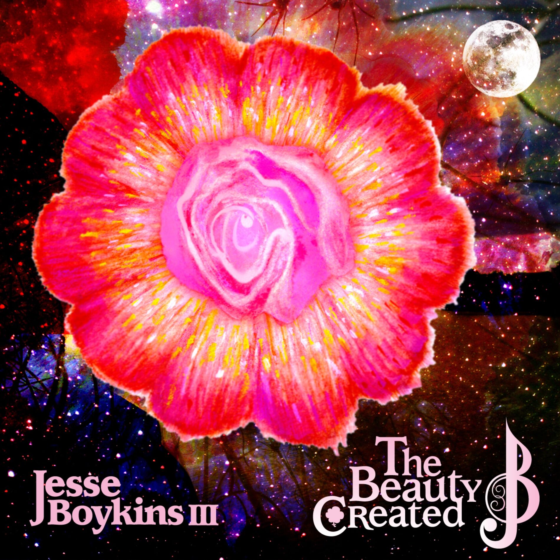 Album cover of The Beauty Created