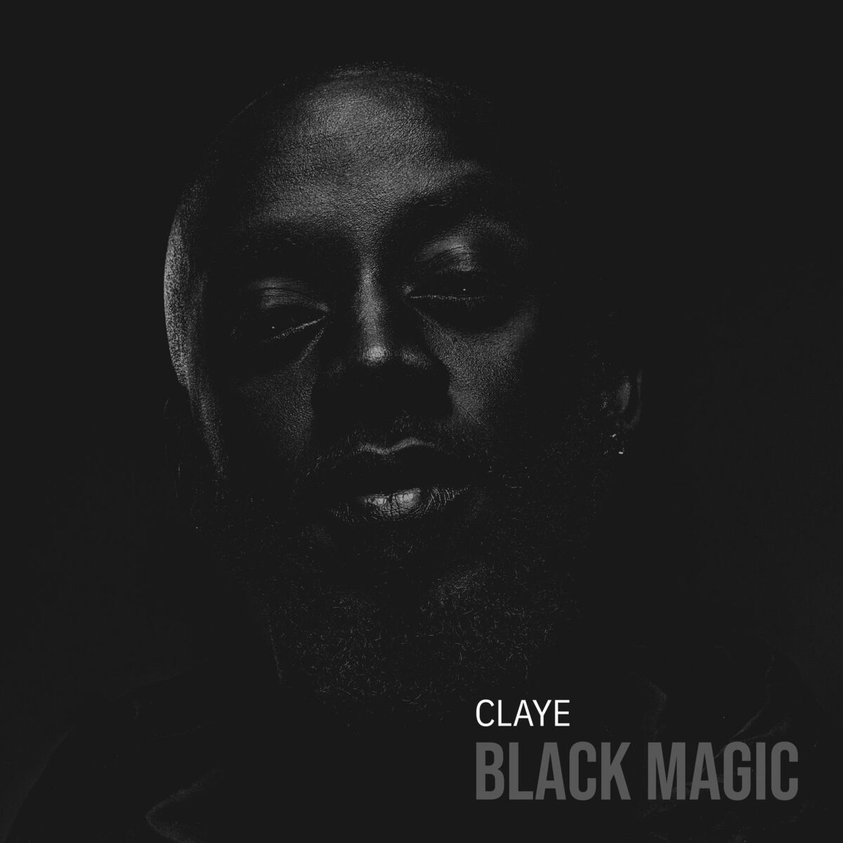 Album cover of Monster