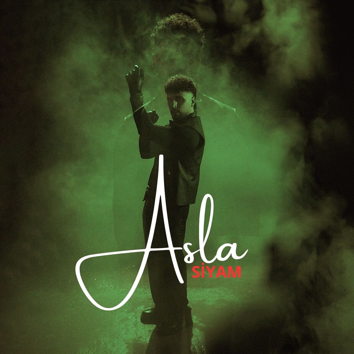 Album cover of Asla