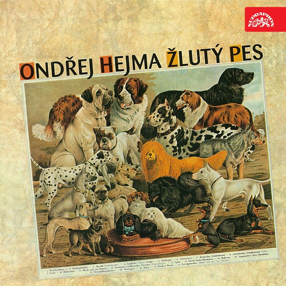 Picture of Žlutý Pes